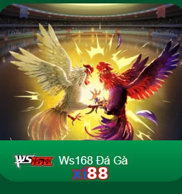 xi88